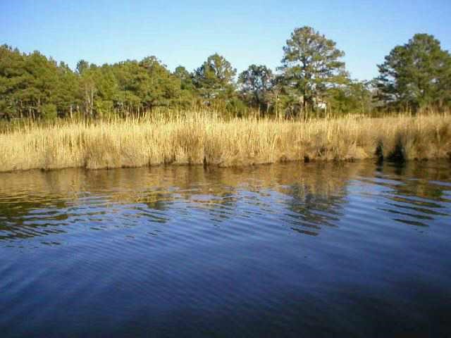 Bob Perry Road Kitty Hawk, NC 27949 - Photo 1 of 6 Gallery Image 1