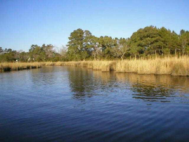 Bob Perry Road Kitty Hawk, NC 27949 - Photo 2 of 6 Gallery Image 2
