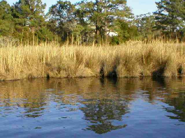 Bob Perry Road Kitty Hawk, NC 27949 - Photo 3 of 6 Gallery Image 3