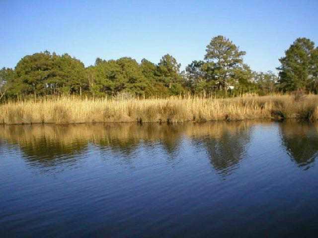 Bob Perry Road Kitty Hawk, NC 27949 - Photo 4 of 6 Gallery Image 4