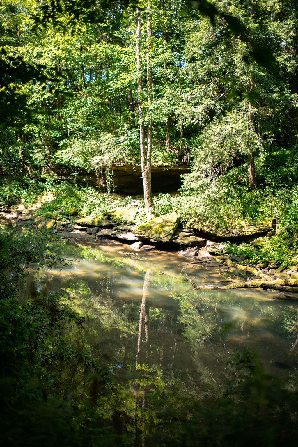 1406 Frank Sims Road Sparta, TN 38583 - Photo 6 of 26 Gallery Image 6