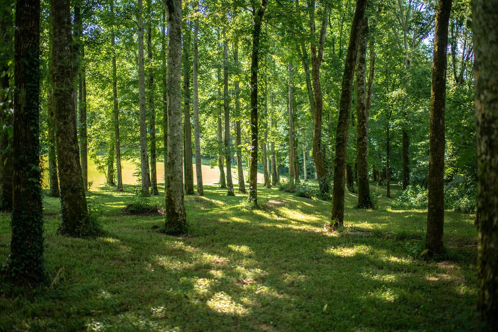 1406 Frank Sims Road Sparta, TN 38583 - Photo 7 of 26 Gallery Image 7