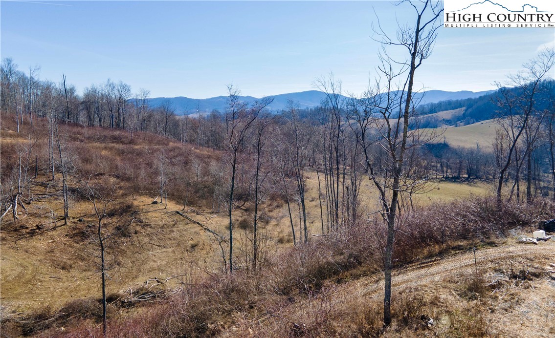 2122 Walnut Branch Church Road Sparta, NC 28675 - Photo 17 of 24 Gallery Image 17