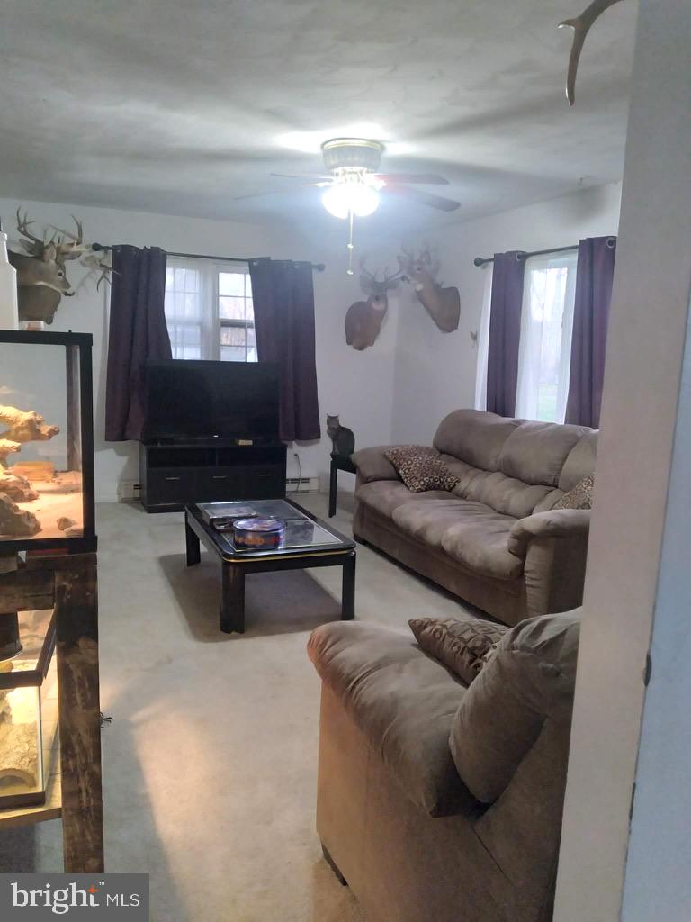 1485 South Timber Ridge Road Cross Junction, VA 22625 - Photo 4 of 12 Cozy living space with rustic charm.