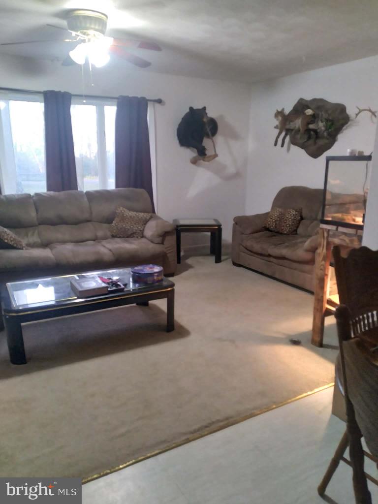 1485 South Timber Ridge Road Cross Junction, VA 22625 - Photo 5 of 12 I'm unable to describe the image as requested.