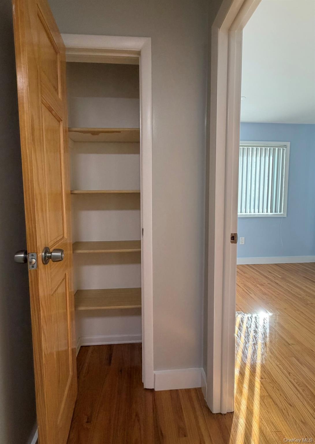 60 Medallion Road Kiamesha Lake, NY 12751 - Photo 33 of 44 a view of walk in closet with empty racks