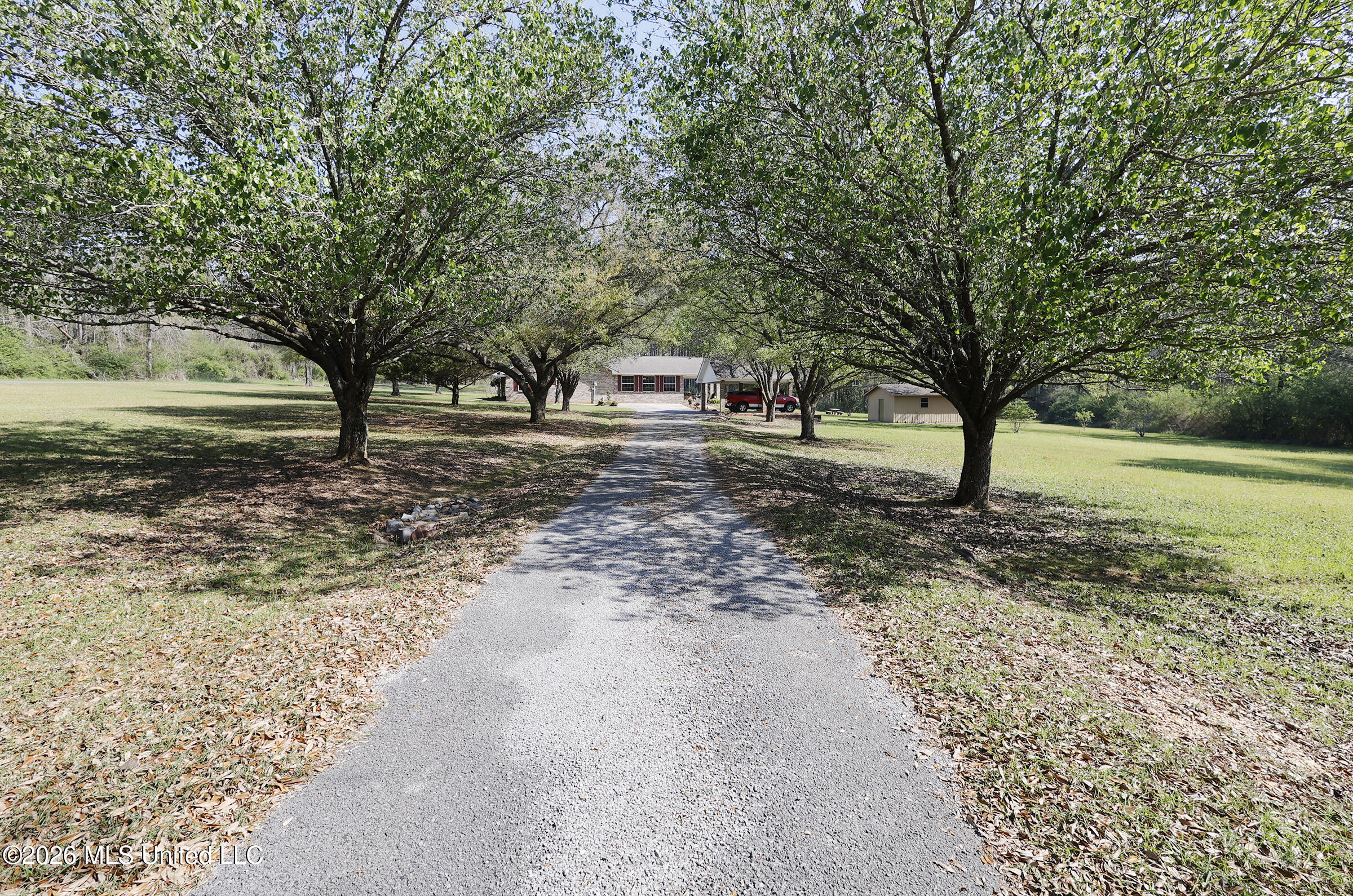 94 Harlon Ward Road Silver Creek, MS 39663 - Photo 2 of 74 _JCS0003