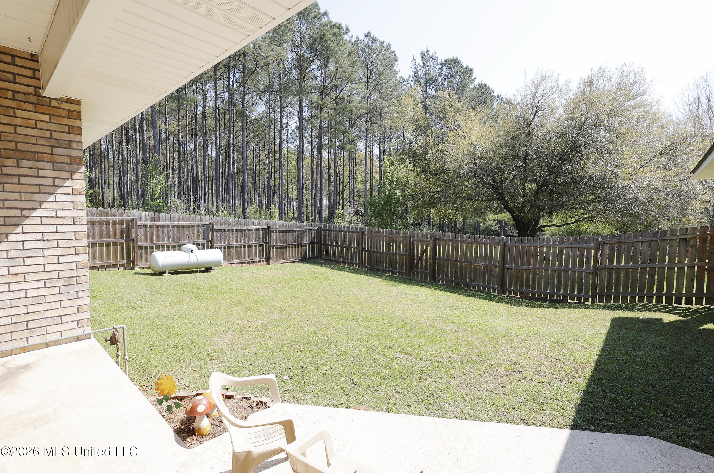 94 Harlon Ward Road Silver Creek, MS 39663 - Photo 34 of 74 _JCS0153