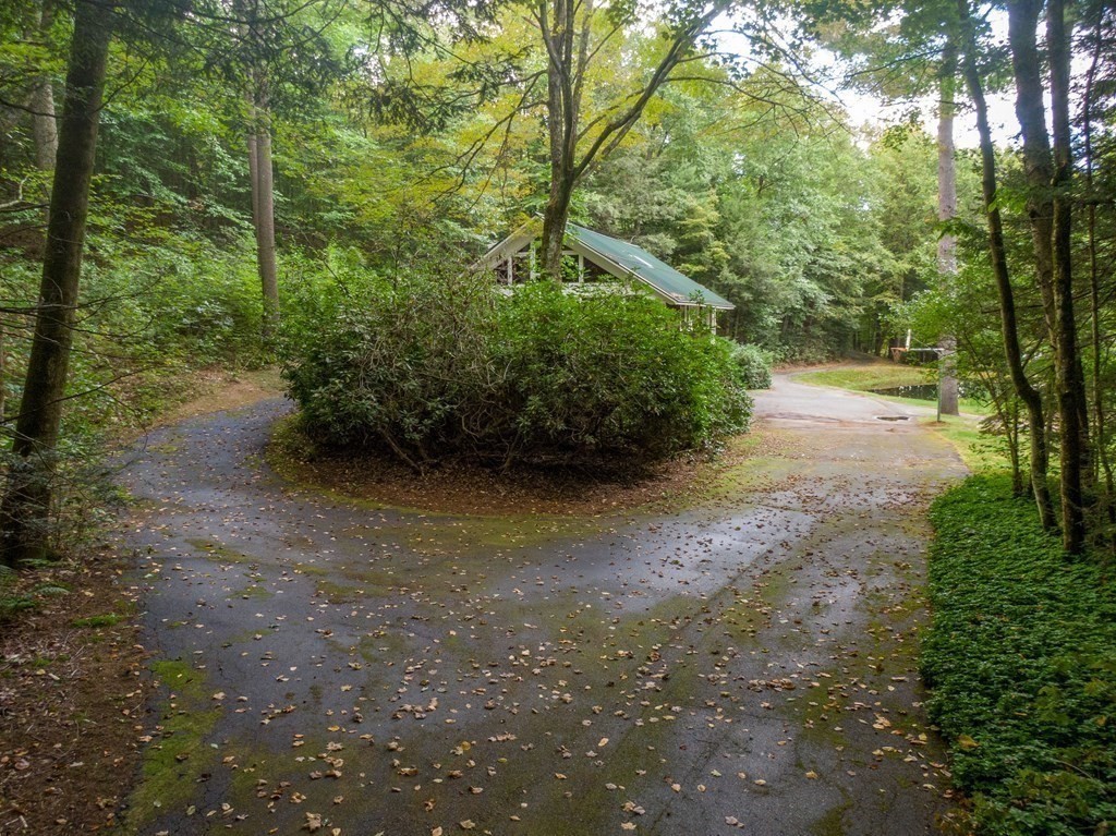 30 Harris Mountain Road Amherst, MA 01002 - Photo 40 of 42 a view of a yard with plants and large trees