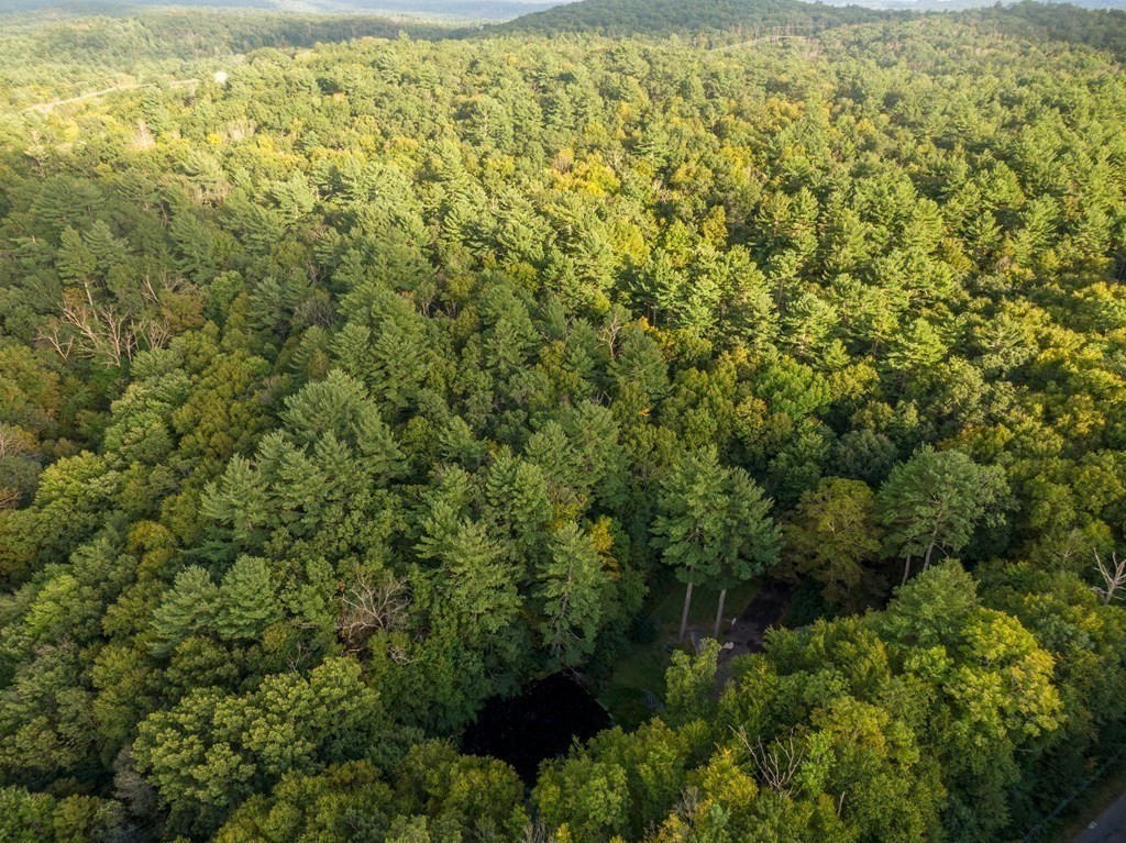 30 Harris Mountain Road Amherst, MA 01002 - Photo 42 of 42 a view of a forest with a street