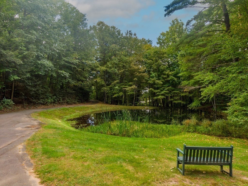30 Harris Mountain Road Amherst, MA 01002 - Photo 5 of 42 a view of a swimming pool with a patio and a yard