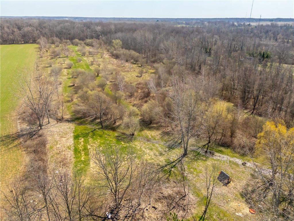 3859 Gaines Basin Road Albion, NY 14411 - Photo 47 of 50