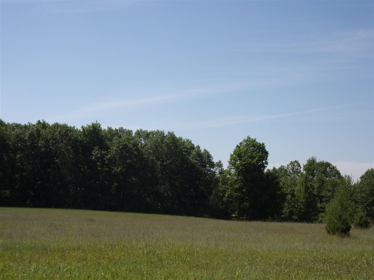 0 West Cutcheon Road Manton, MI 49663 - Photo 6 of 11 Gallery Image 6