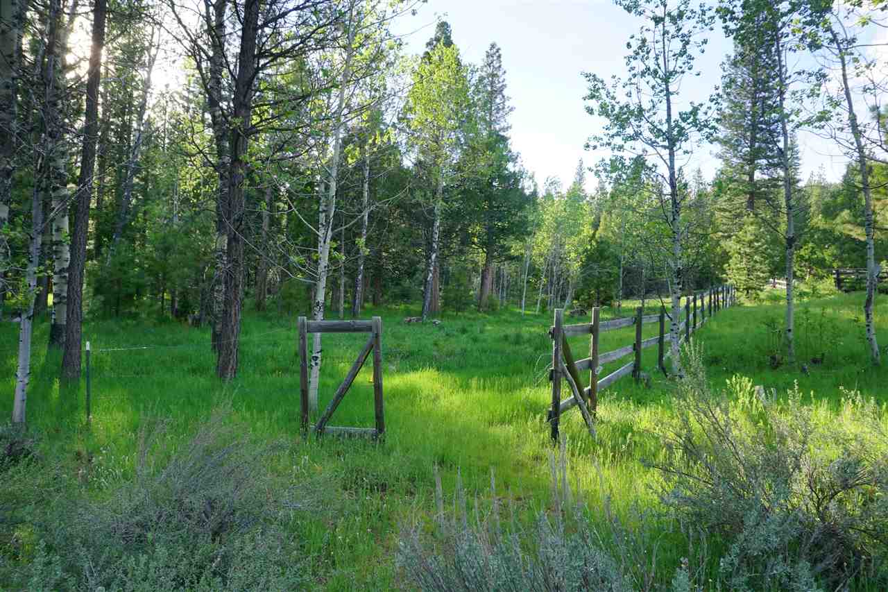 656 Main Street Calpine, CA 96124 - Photo 5 of 14