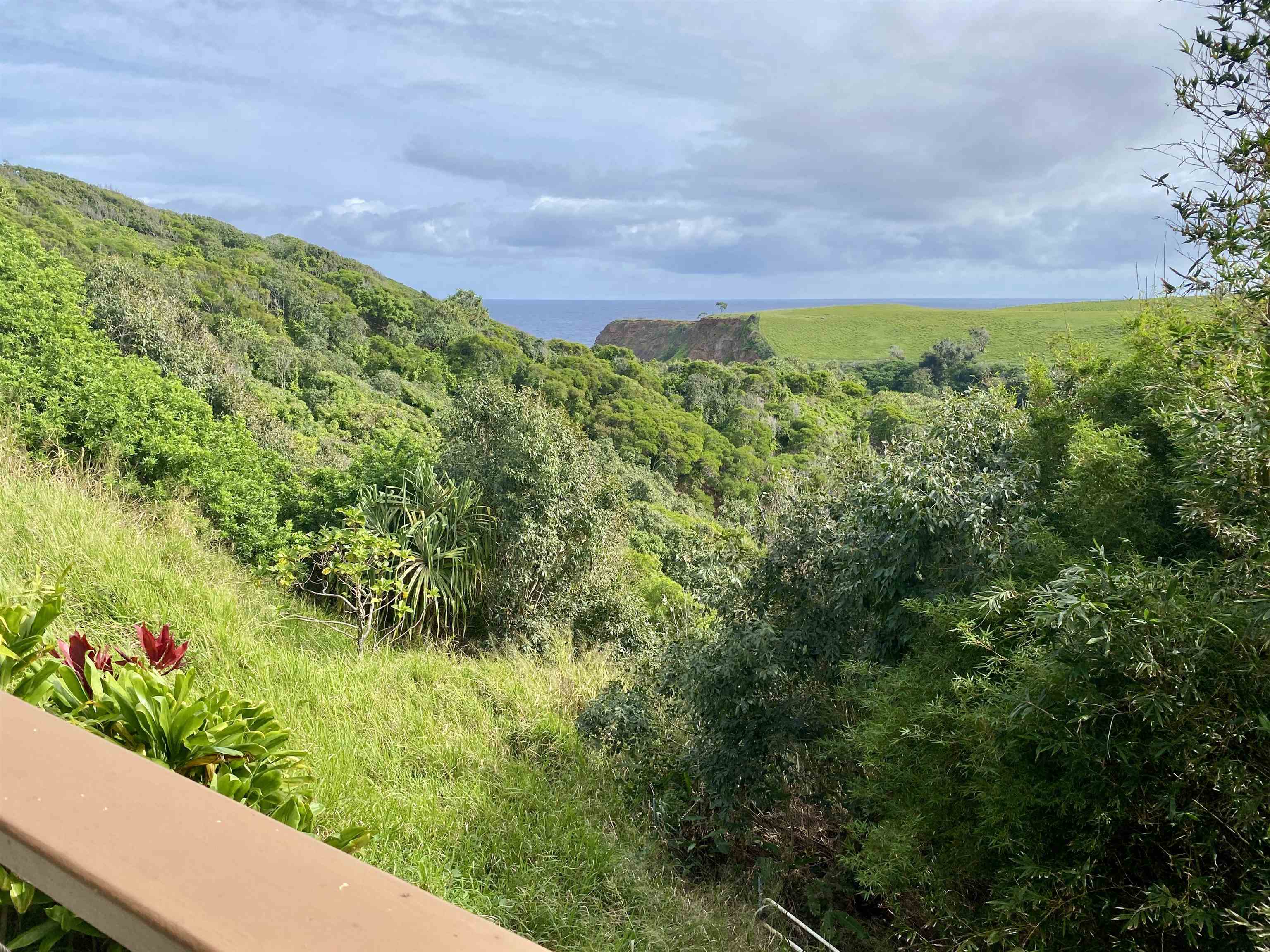 700 Honopou Road, Unit 700 HONOPOU RD Haiku, HI 96708 - Photo 12 of 24