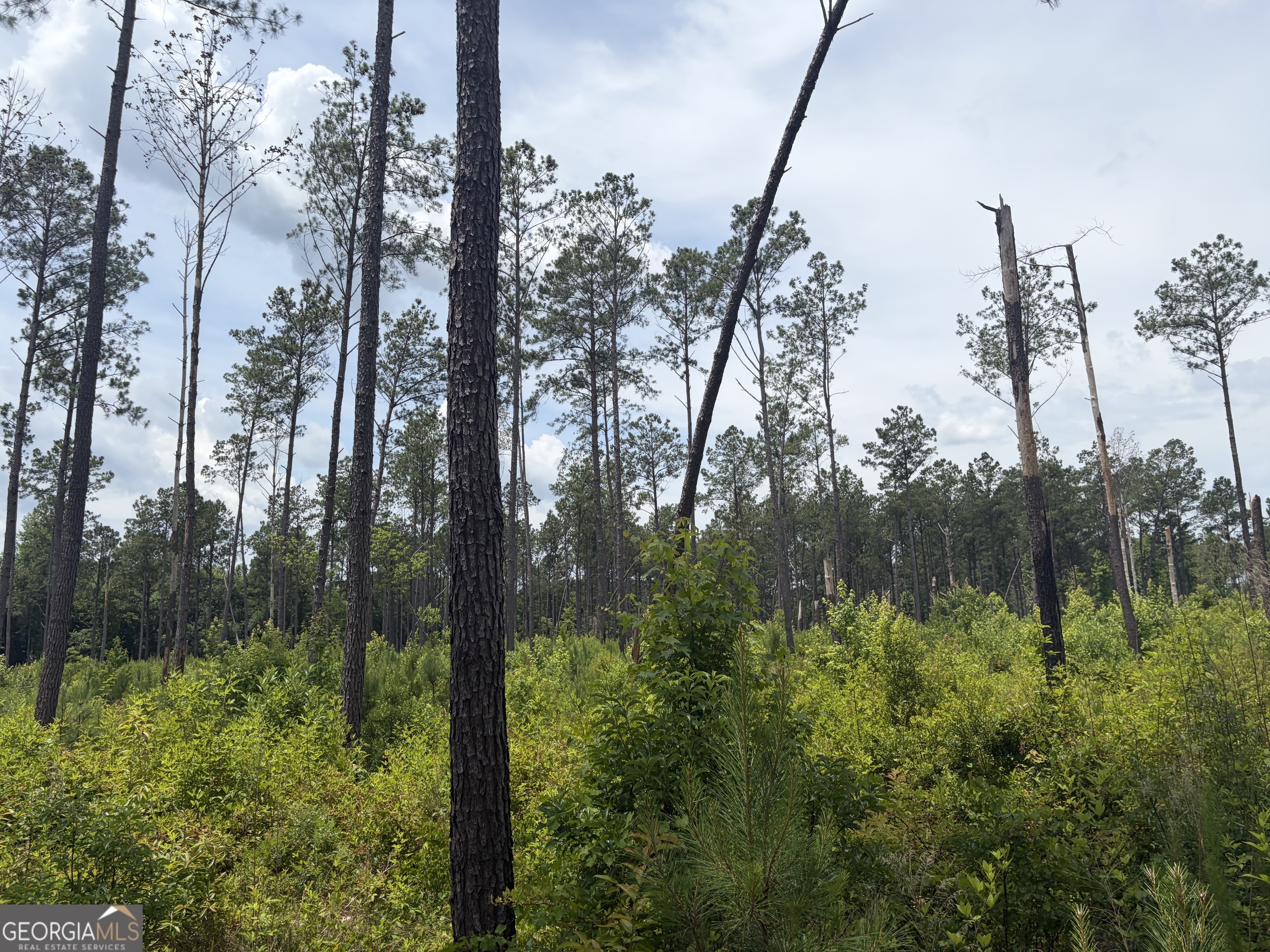 9 Sunhill Grange Road Sandersville, GA 31018 - Photo 4 of 12