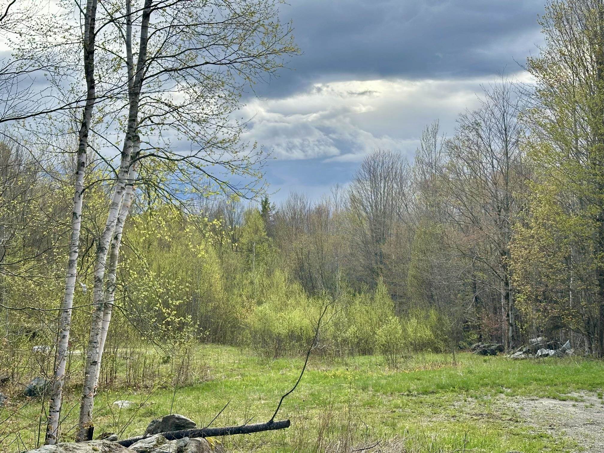 0 Brookview Lane, Unit 4 Wolcott, VT 05680 - Photo 7 of 15