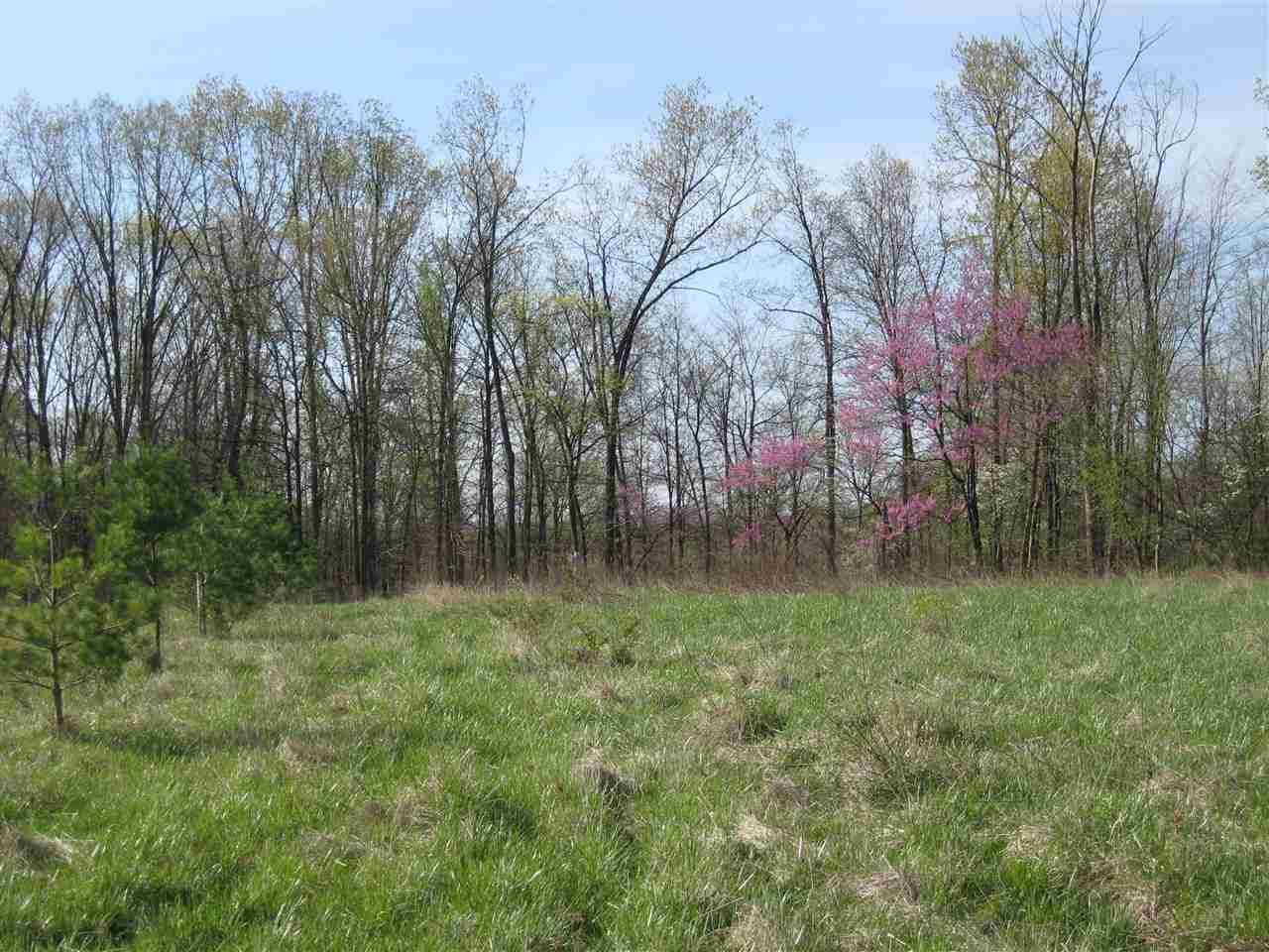 Lot 2 Fish Bloomington, IN 47408 - Photo 2 of 7