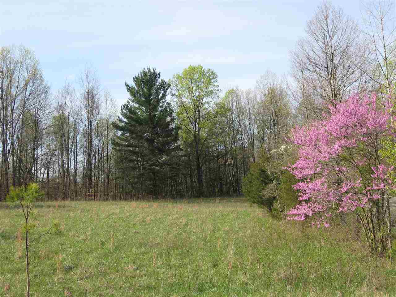 Lot 2 Fish Bloomington, IN 47408 - Photo 3 of 7