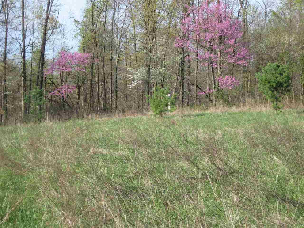 Lot 2 Fish Bloomington, IN 47408 - Photo 6 of 7