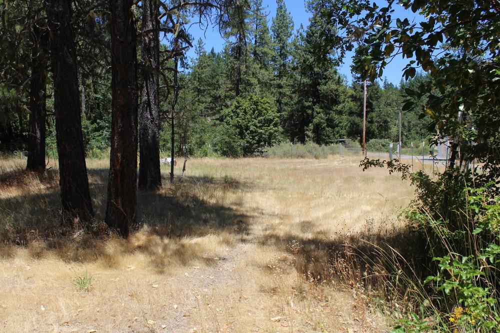 4617 Reeves Creek Road Selma, OR 97538 - Photo 7 of 20 Additional Photo