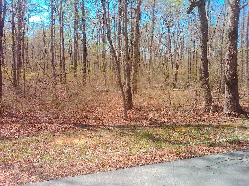 27 1 Ac West View Road Spencer, TN 38585 - Photo 8 of 12 Gallery Image 8