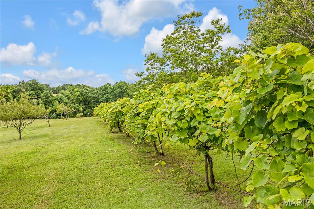 1824 Morre Road Owensville, MO 65066 - Photo 48 of 70