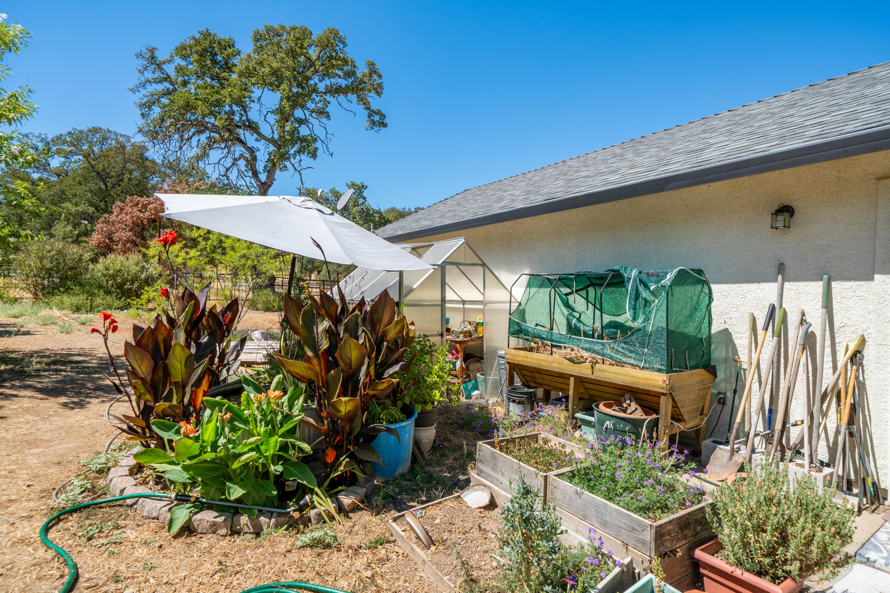 8533 Maynard Road Palo Cedro, CA 96073 - Photo 44 of 100 a view of a backyard with plants