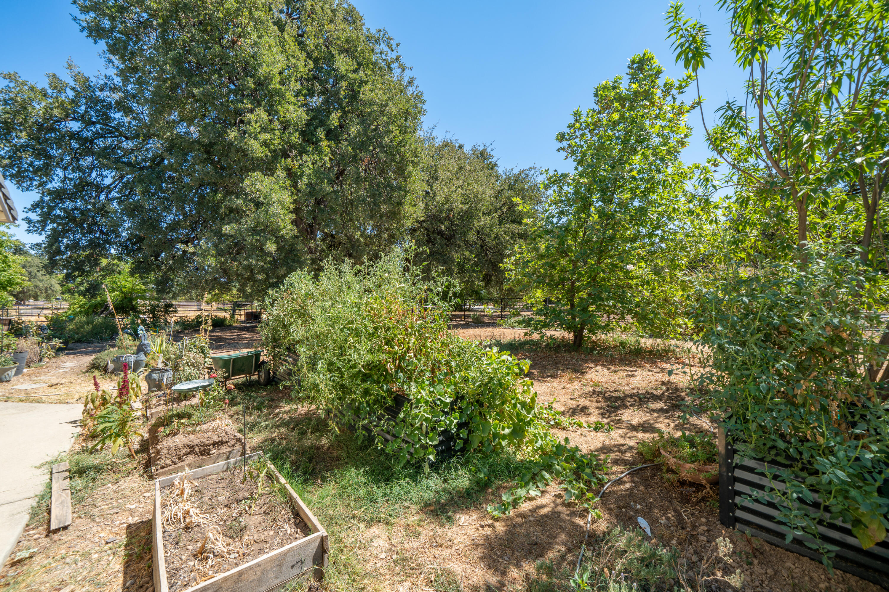 8533 Maynard Road Palo Cedro, CA 96073 - Photo 48 of 100 a view of outdoor space and trees