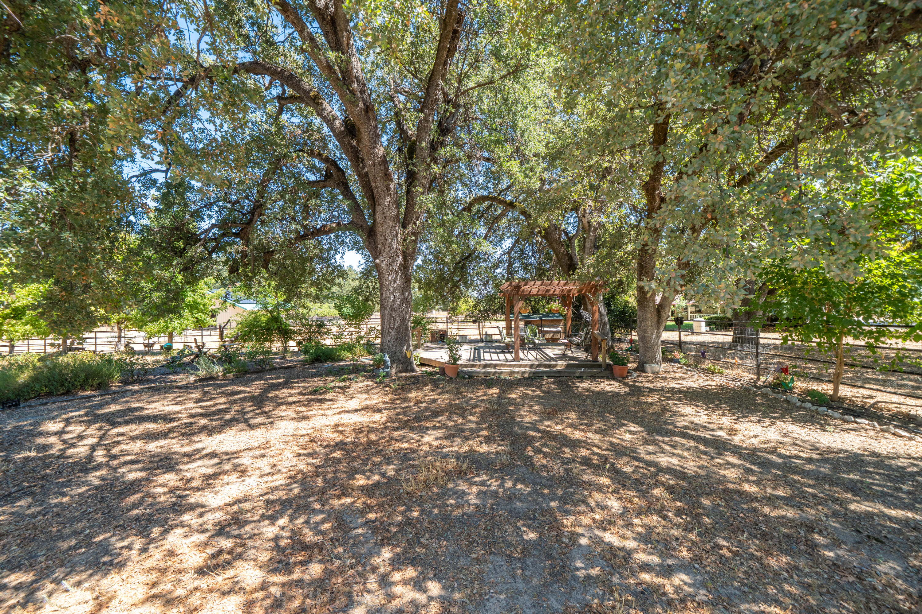 8533 Maynard Road Palo Cedro, CA 96073 - Photo 49 of 100 a view of a tree in the middle of a yard