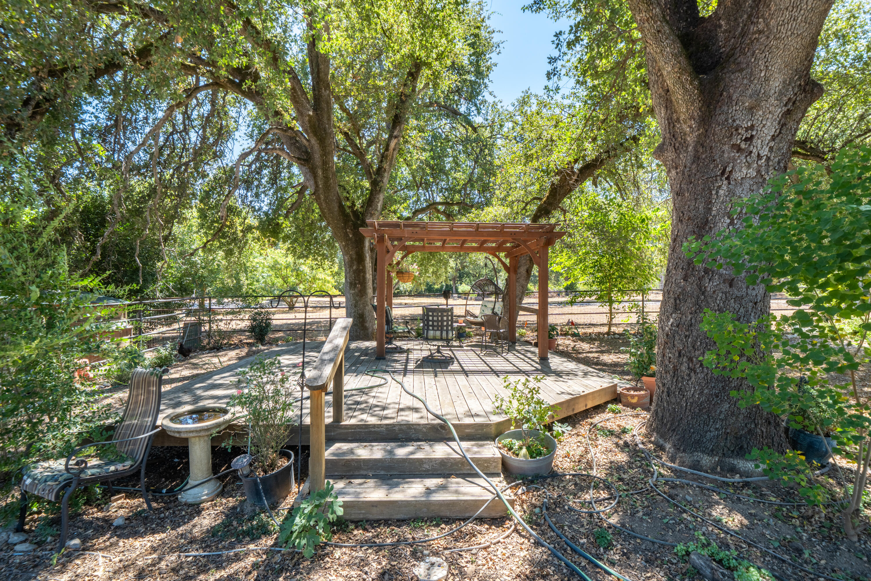8533 Maynard Road Palo Cedro, CA 96073 - Photo 50 of 100 a view of a patio with table and chairs potted plants and large tree