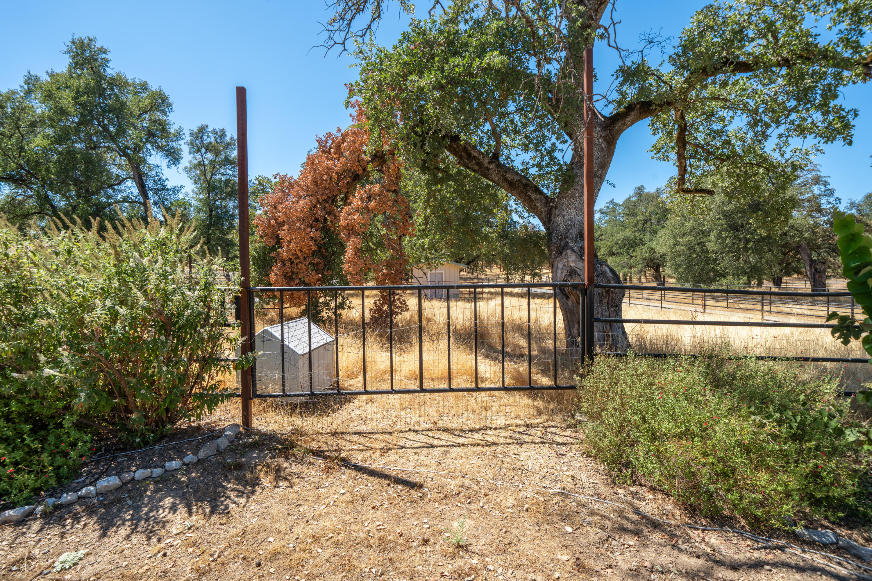 8533 Maynard Road Palo Cedro, CA 96073 - Photo 59 of 100 8533 Maynard Rd-74