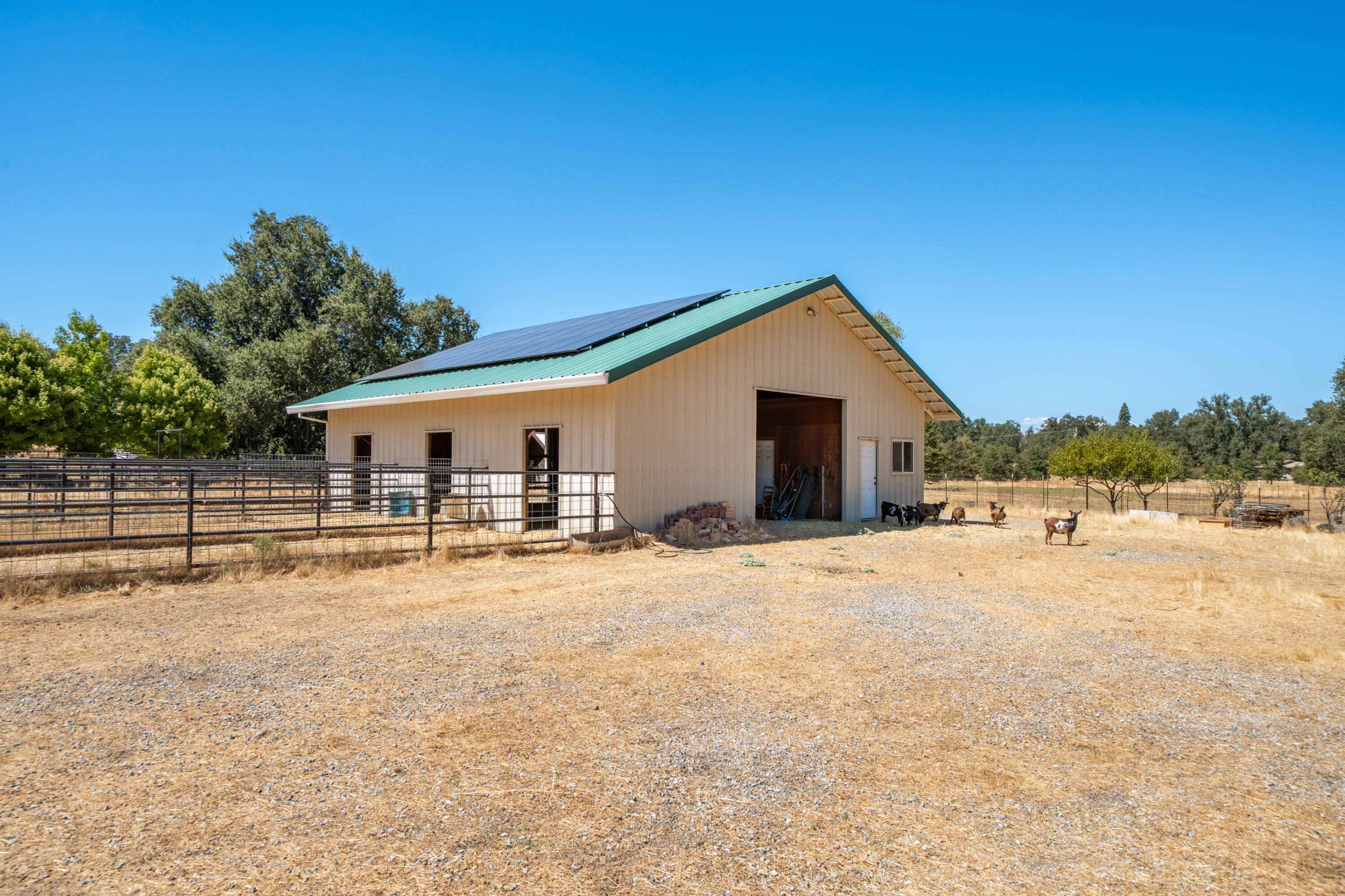 8533 Maynard Road Palo Cedro, CA 96073 - Photo 66 of 100 a front view of a house with a yard