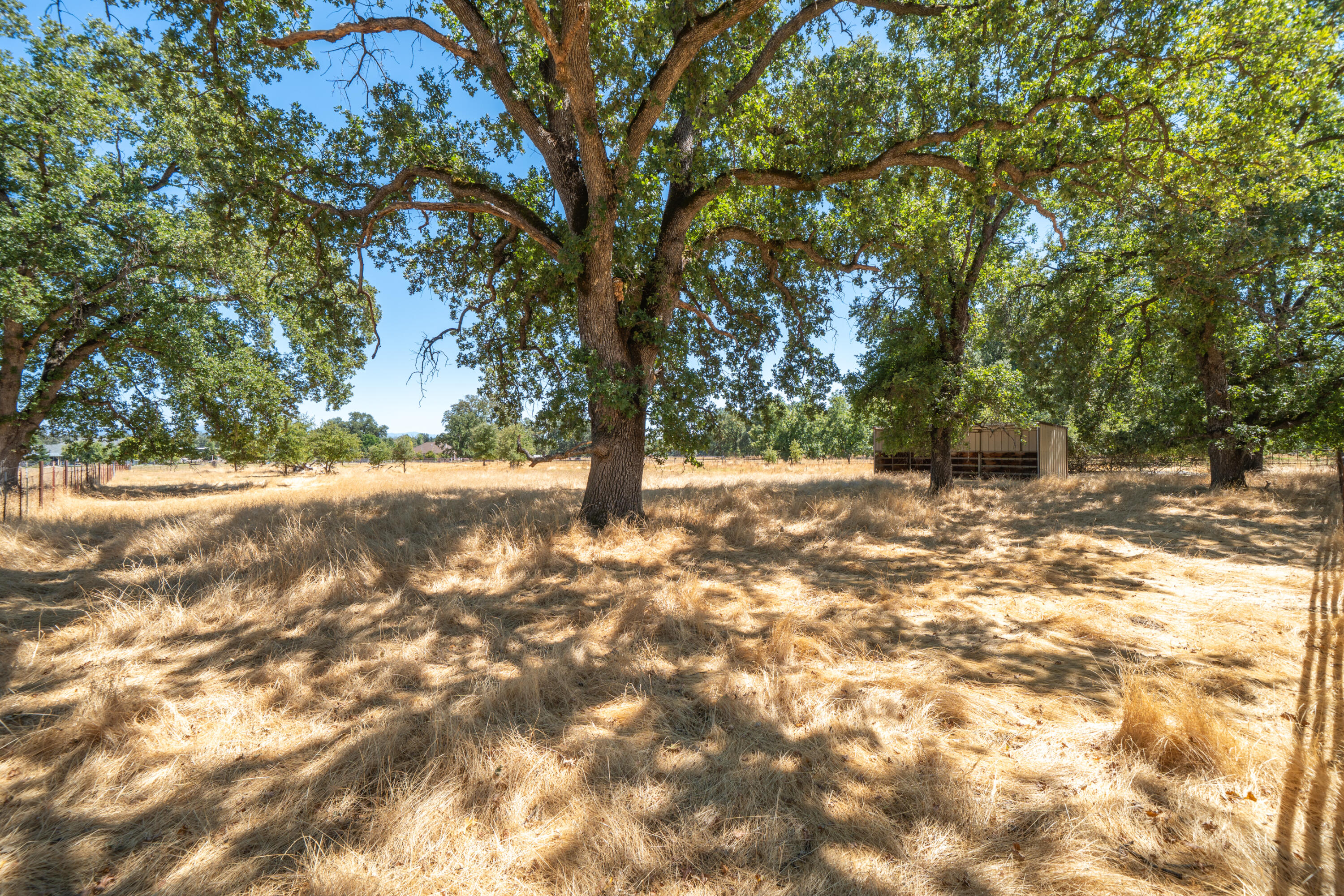 8533 Maynard Road Palo Cedro, CA 96073 - Photo 87 of 100 8533 Maynard Rd-119