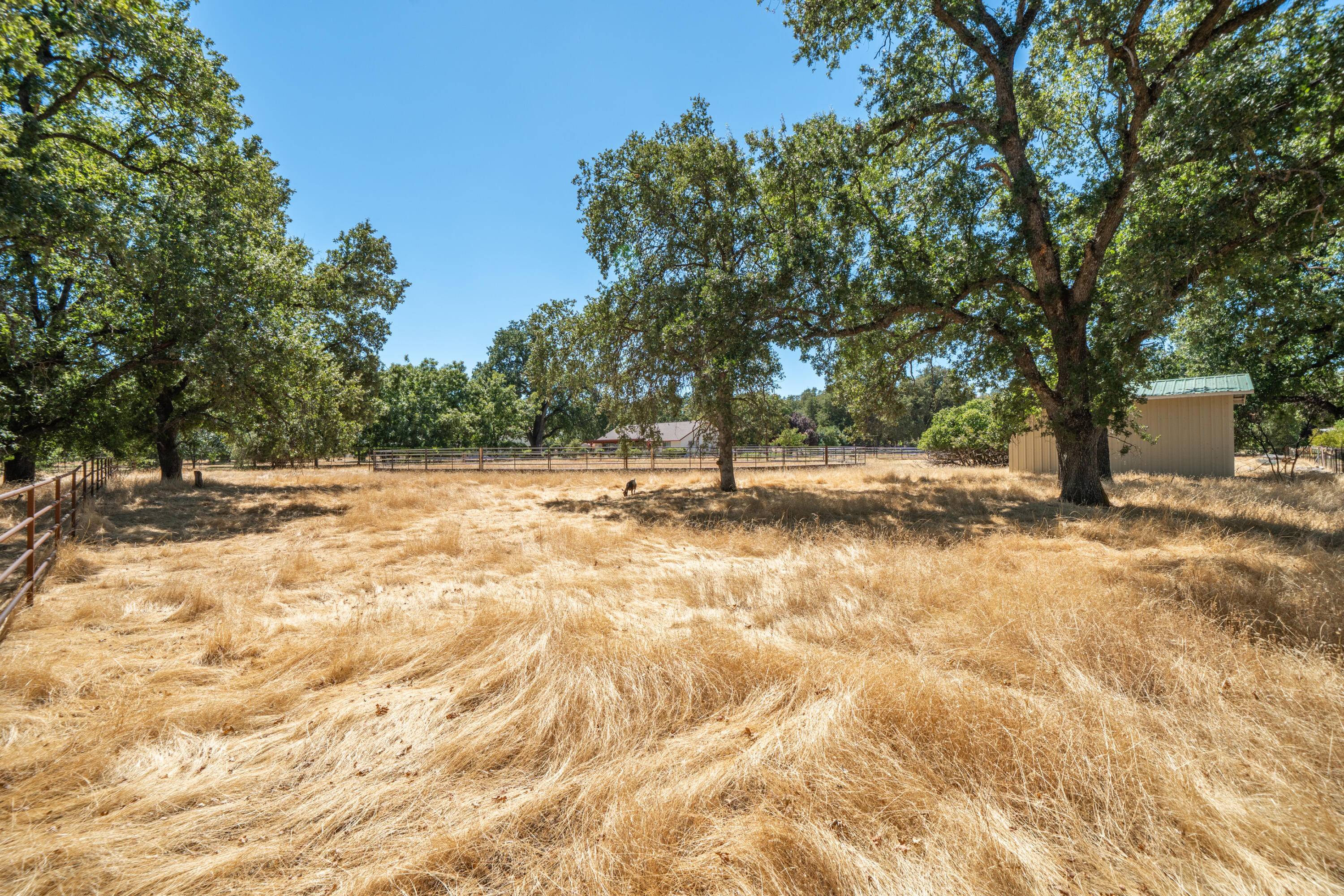 8533 Maynard Road Palo Cedro, CA 96073 - Photo 88 of 100 a view of outdoor space with trees