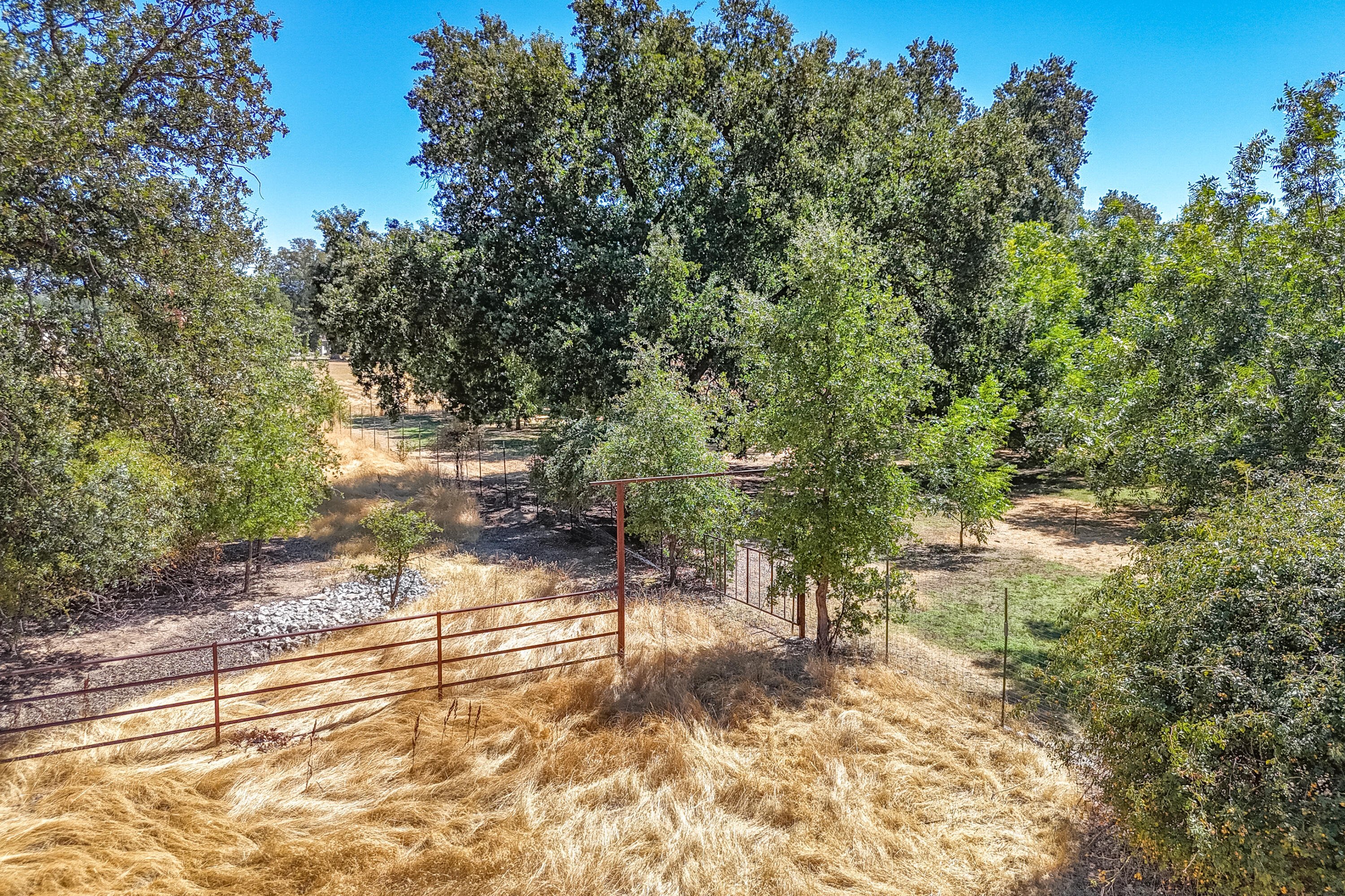 8533 Maynard Road Palo Cedro, CA 96073 - Photo 97 of 100 a view of yard