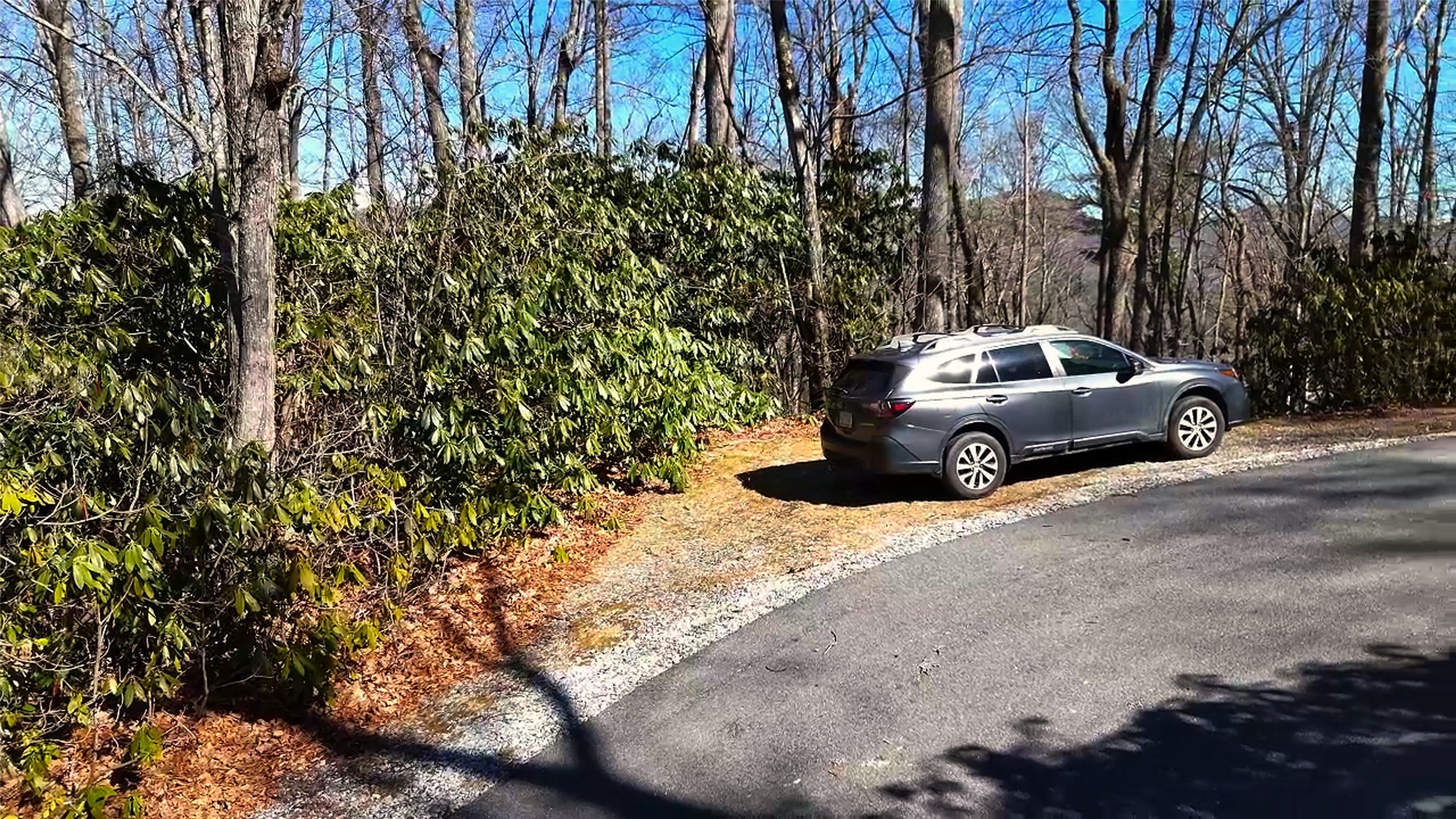20 Bright Mountain Road Cullowhee, NC 28723 - Photo 7 of 7 Gallery Image 7