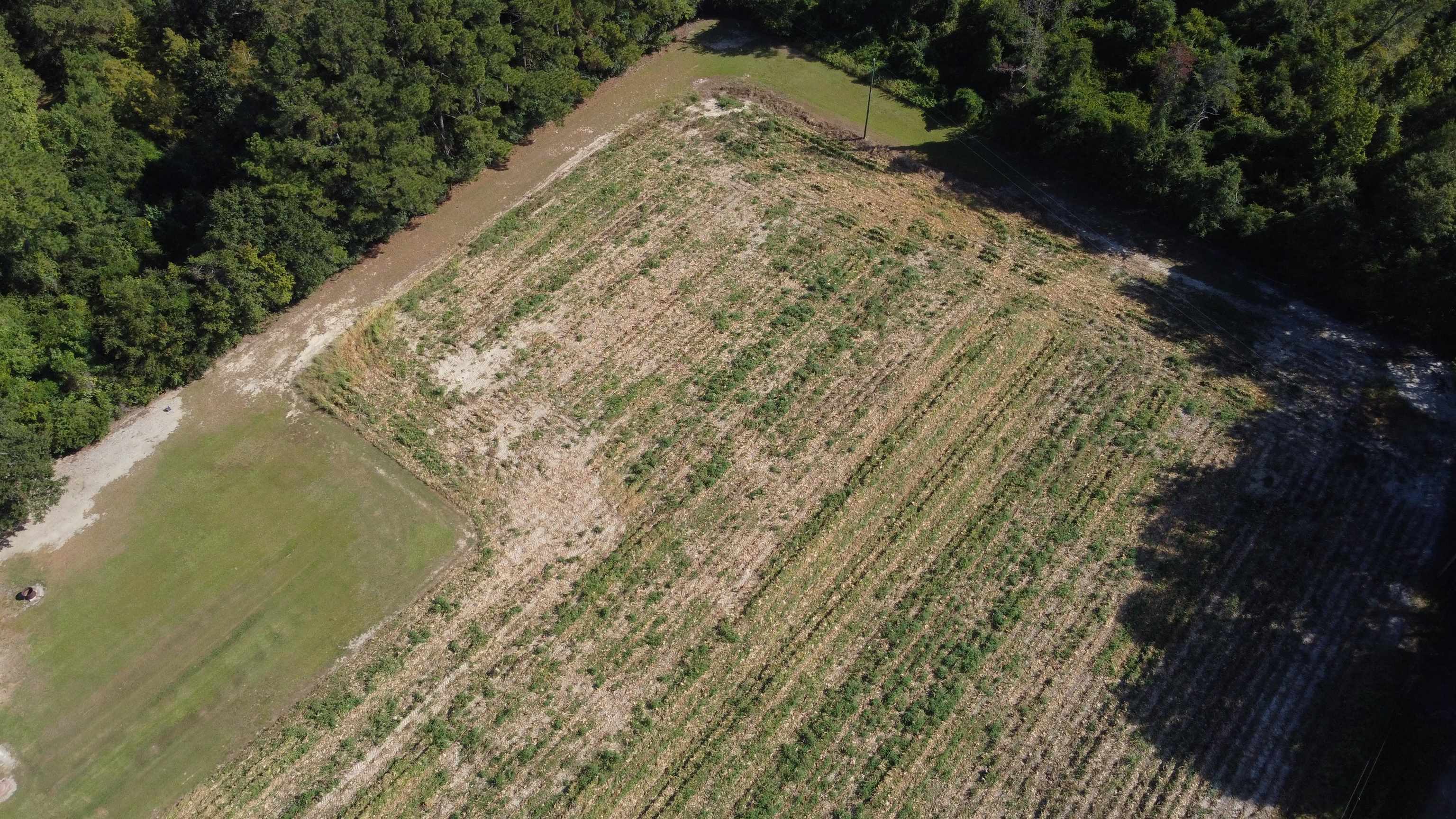 Lot 2 Mar Cap Road Galivants Ferry, SC 29544 - Photo 5 of 6 Gallery Image 5
