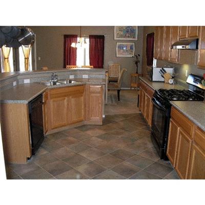 3702 East Fjord Pony Road Tucson, AZ 85739 - Photo 4 of 9 Gallery Image 4