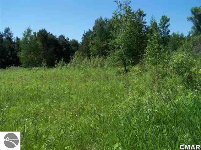 Tbd East Clarabella Road Clare, MI 48617 - Photo 3 of 6 1764895-2.JPG