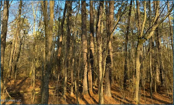 $325,000 | Will Brown, Conehatta, MS 39057