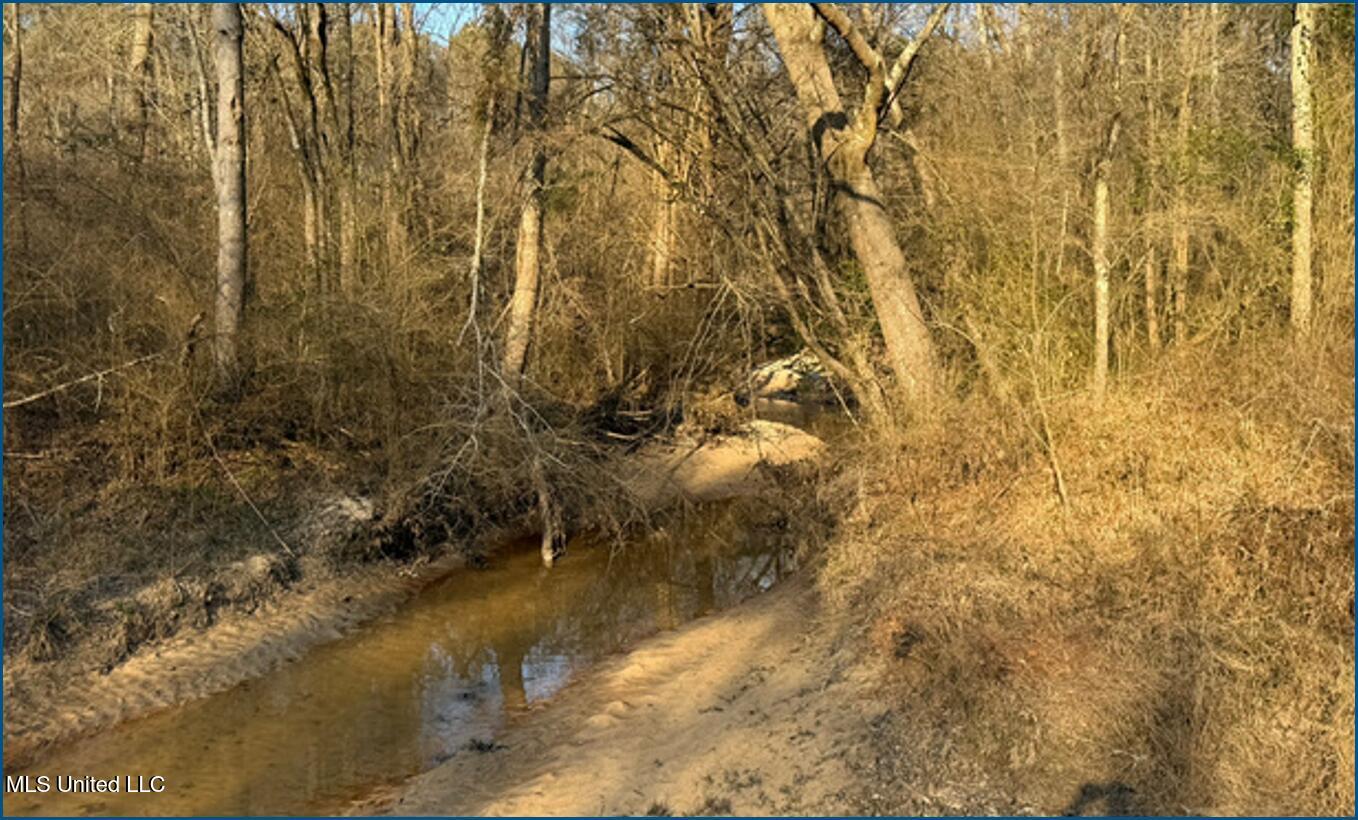 Will Brown Conehatta, MS 39057 - Photo 2 of 5 Picture2