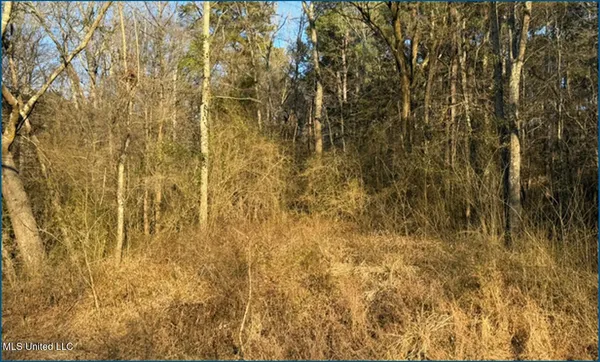 $325,000 | Will Brown, Conehatta, MS 39057