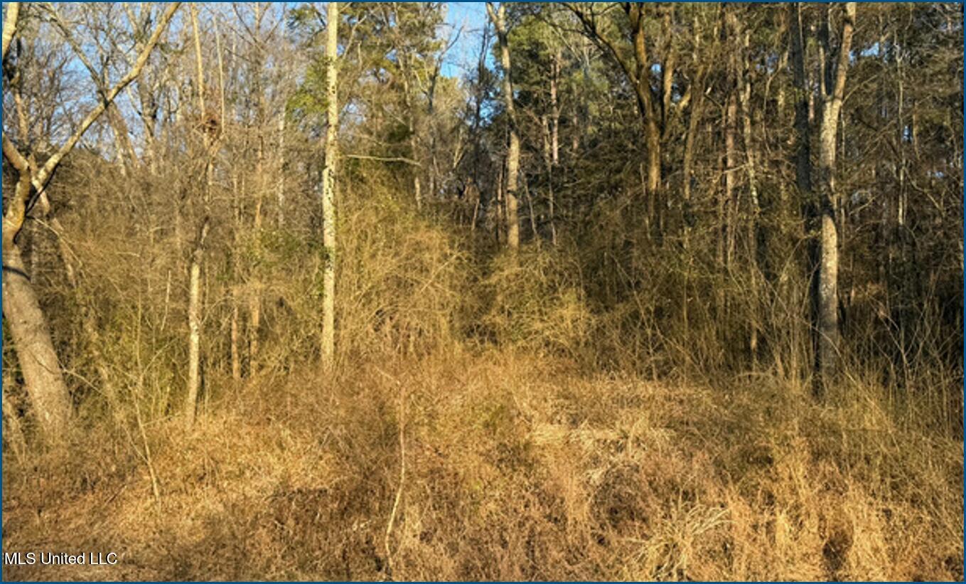 Will Brown Conehatta, MS 39057 - Photo 3 of 5 Picture3