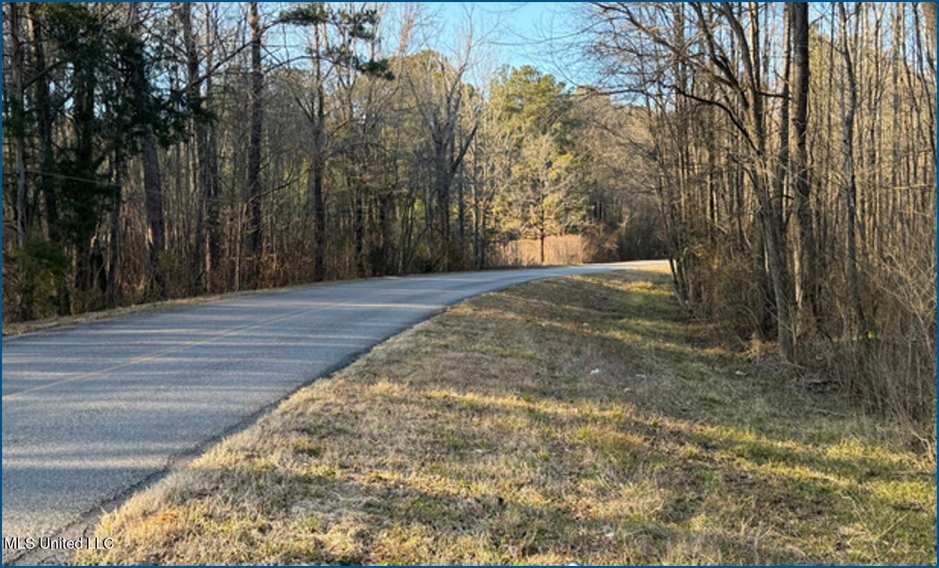 Will Brown Conehatta, MS 39057 - Photo 4 of 5 Picture4