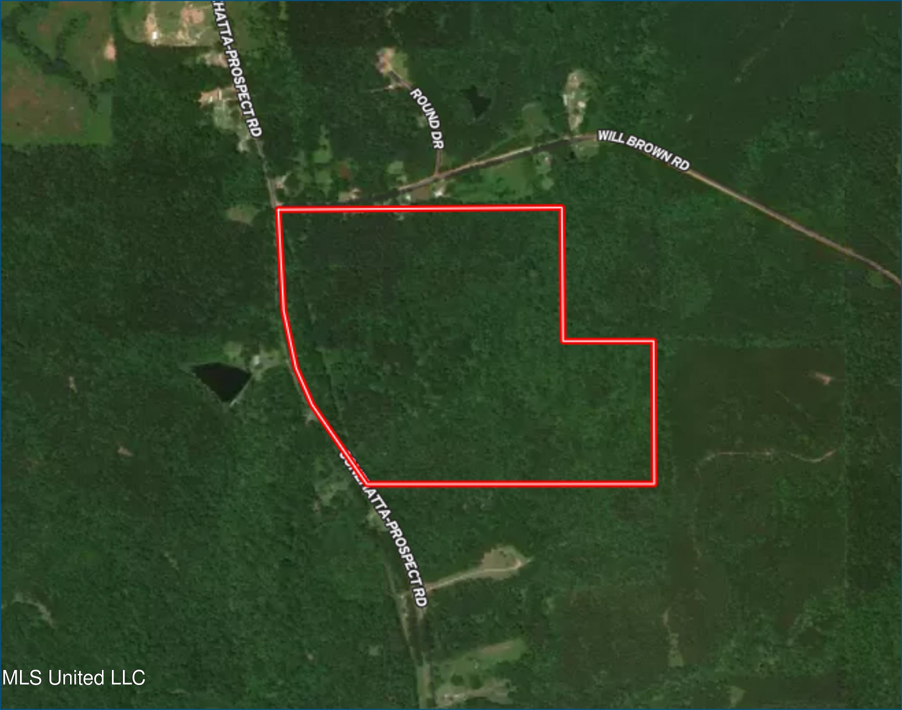 Will Brown Conehatta, MS 39057 - Photo 5 of 5 Picture5