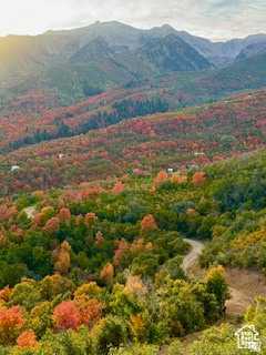 6909 East Spring Drive, Unit 19 Springville, UT 84663 - Photo 116 of 118 Expansive mountain landscape featuring varied fall foliage and a winding dirt road
