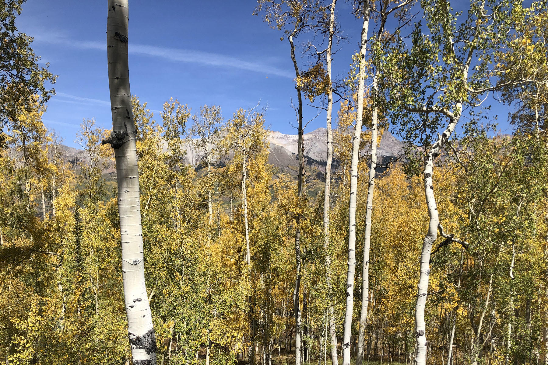 Tbd Wapiti Road Telluride, CO 81435 - Photo 4 of 12