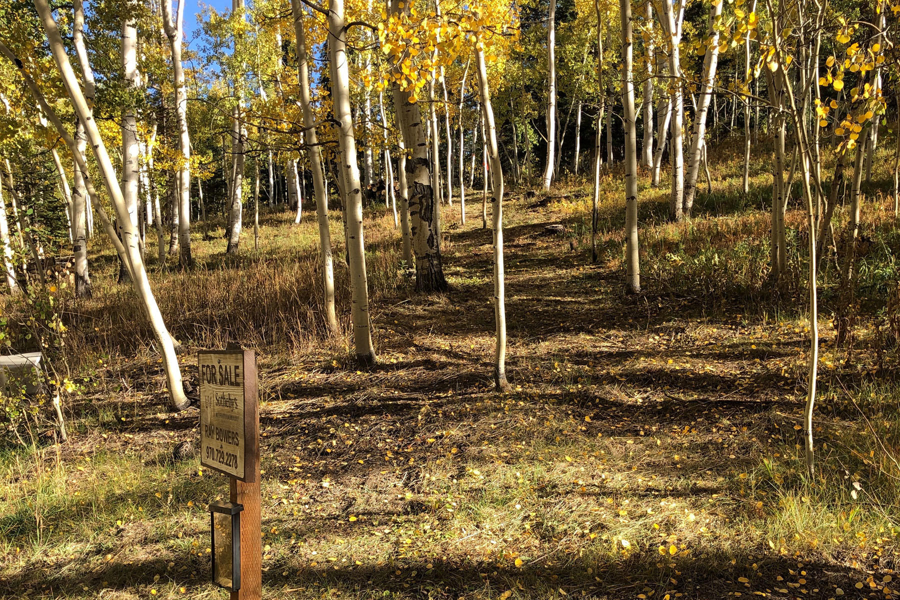 Tbd Wapiti Road Telluride, CO 81435 - Photo 5 of 12 a view of outdoor space