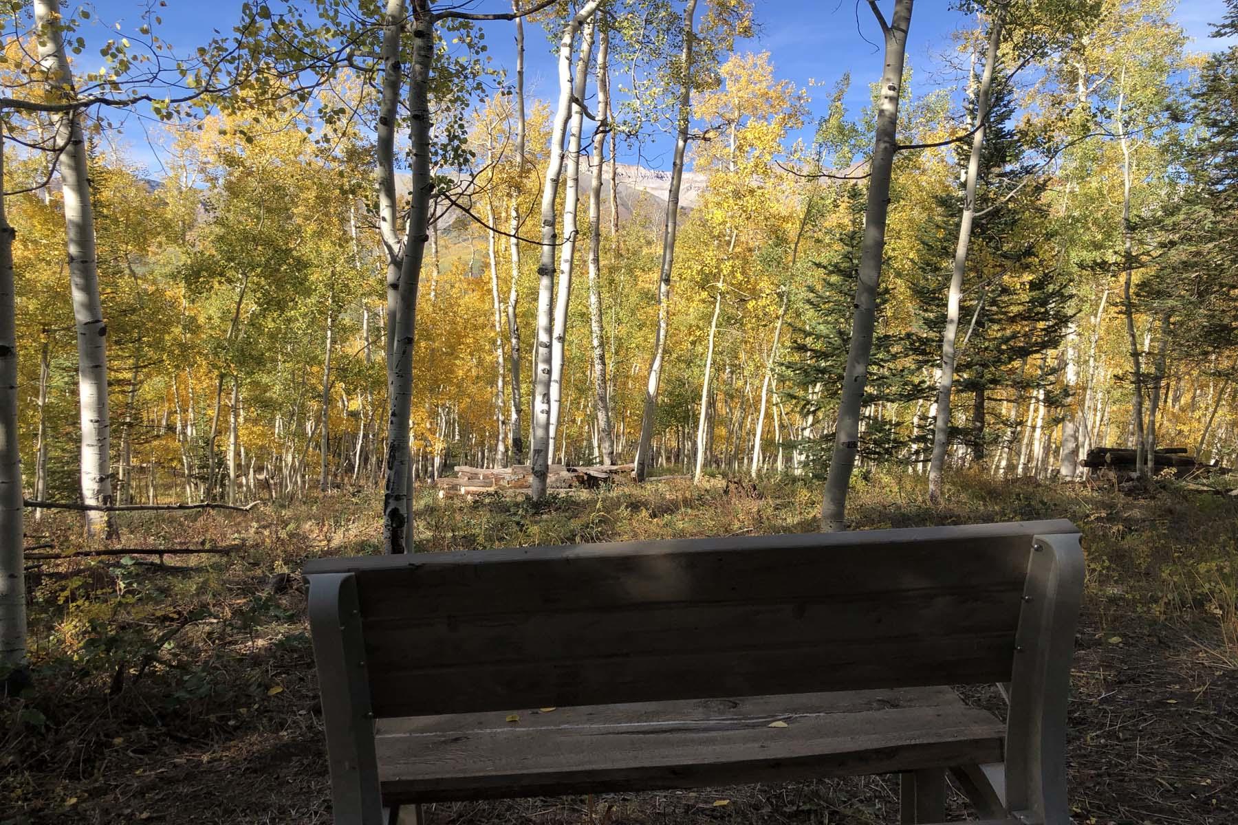 Tbd Wapiti Road Telluride, CO 81435 - Photo 6 of 12 a view of backyard with wooden fence and large trees